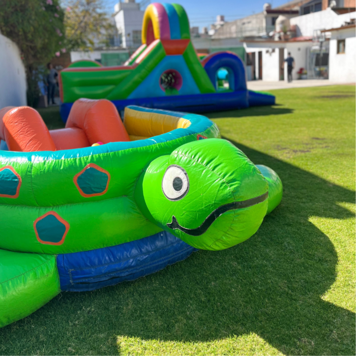 Tortuga con pelotas - Imagen 2