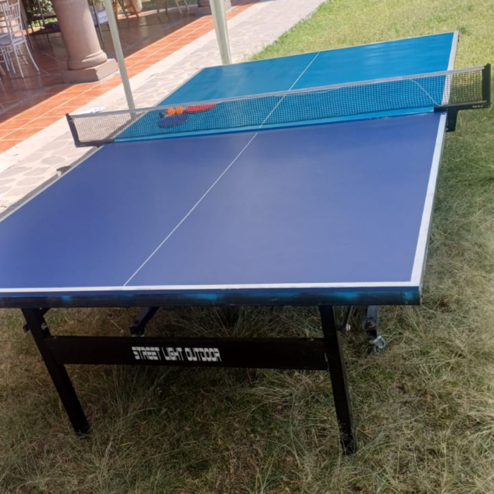 Mesa ping pong - Imagen 2